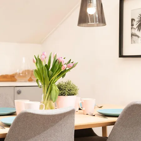 Kosciuszki Center Apartment *
