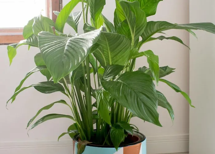 Appartamento Stylowe 3city W Centrum Sopotu By Renters